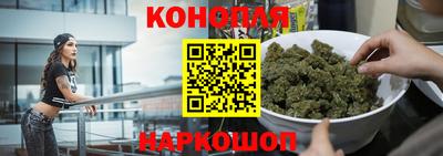 шишки Можга