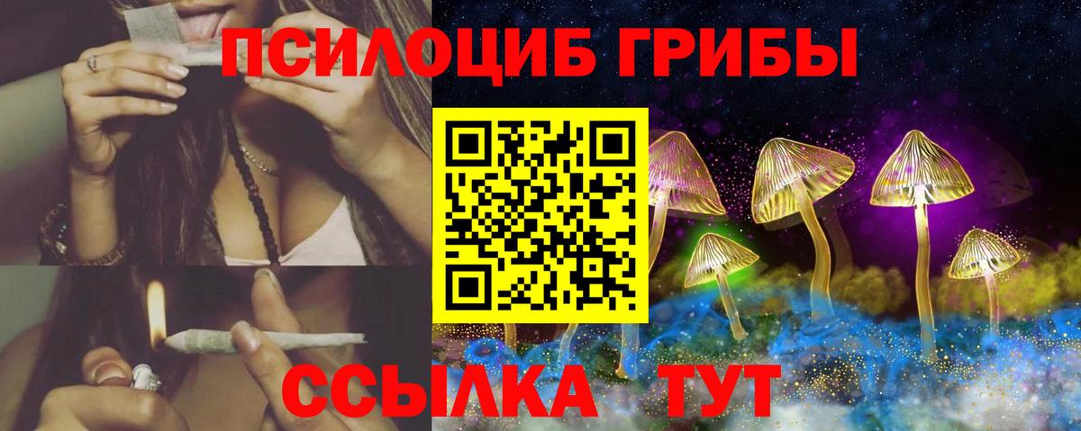 Псилоцибиновые грибы прущие грибы  Галлюциногенные грибы мухоморы  Тосно  Вход с VPN 